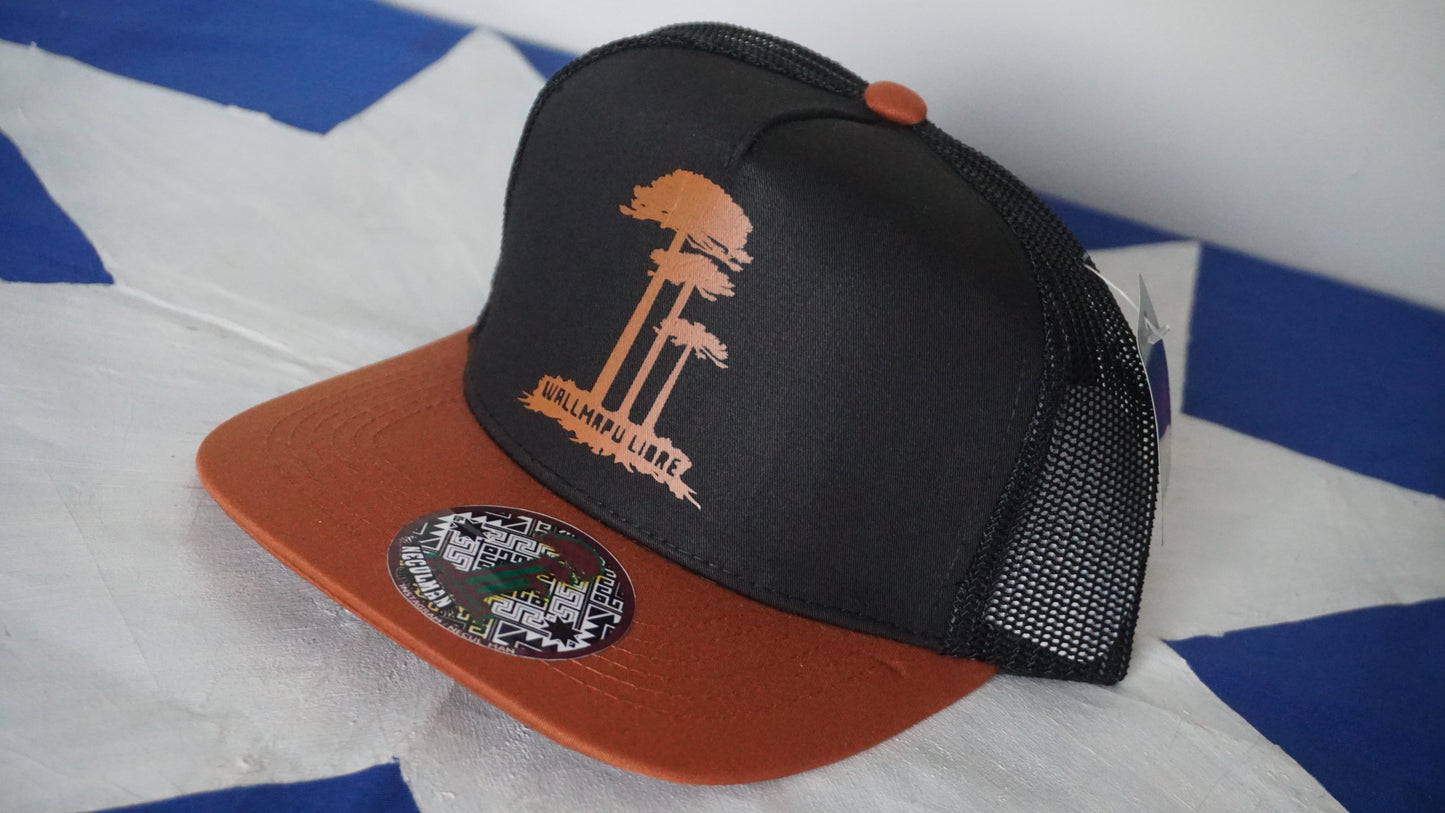 Gorra Snapback diferentes diseños