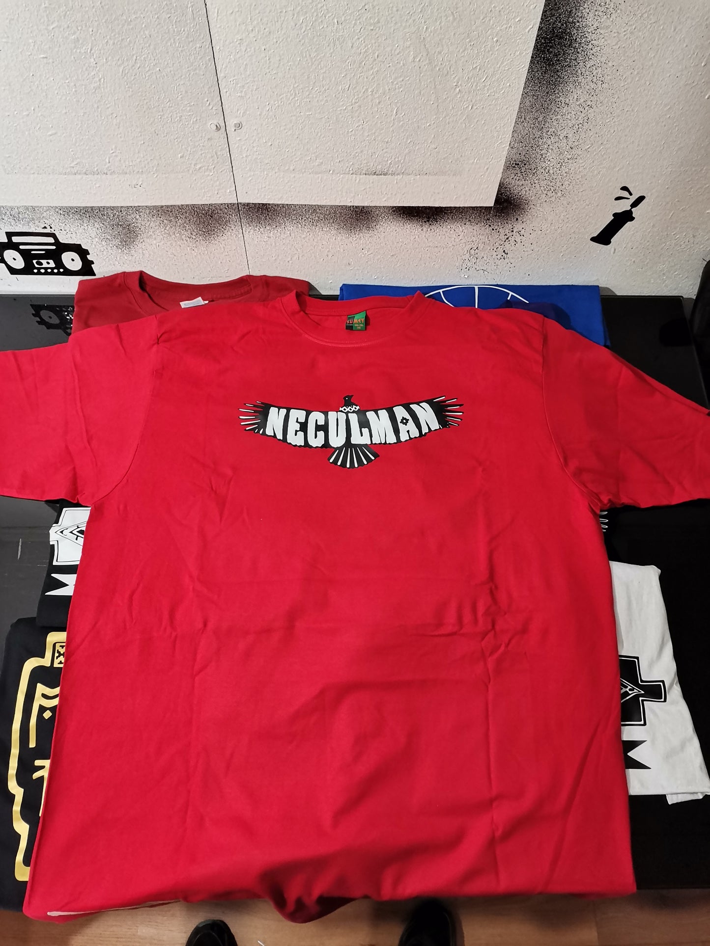 Polera exclusiva Neculman